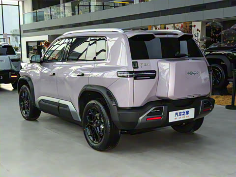 2025�� 501KM ����Max��