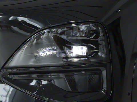 2025�� 625 ������ Max �Ƽ���