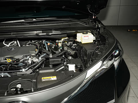 2026�� 2.5L ˫���������ʰ�