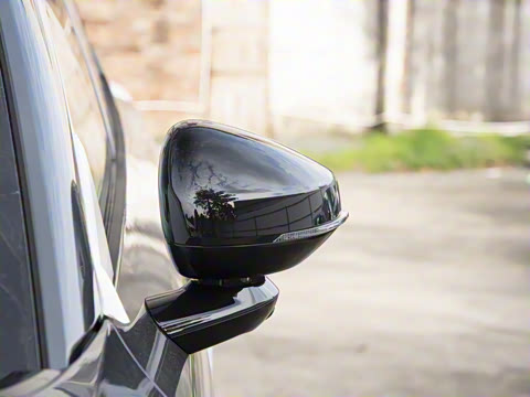 2026�� ������������Plus