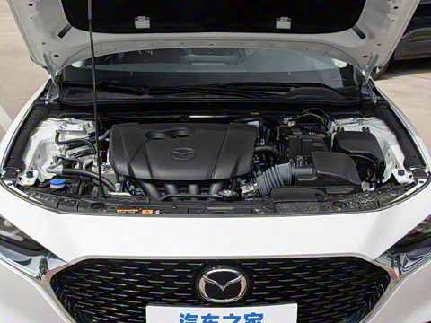 2025�� 2.0L �Զ������