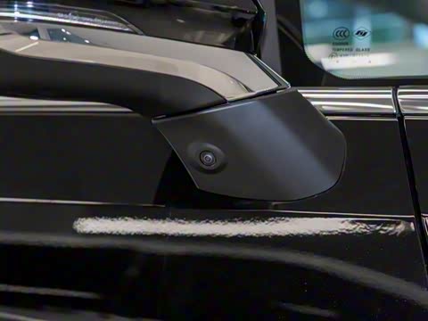 2025�� ���� �������������� ����