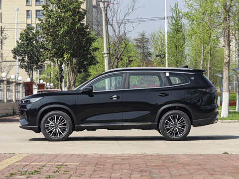 2026�� 290TGDI DCT������ 7��