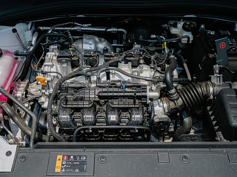 2026�� 180DVVT ȫ�����Ȱ�