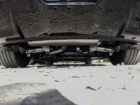 2026�� Max ���̰�