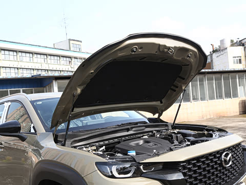 2026�� 2.5L ���а�