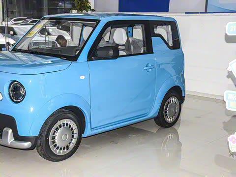 2025�� ������