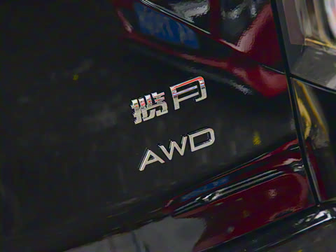 2025�� 180 ��������Max���� 6��