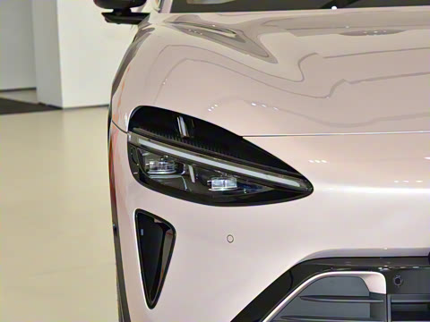 2025�� ������������Pro��