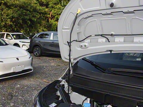 2025�� Plus 610 ������