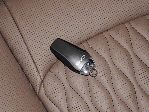 2025�� DM-i �Ǽݰ� 245KM�����