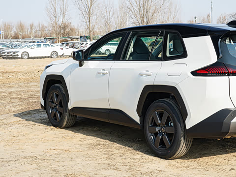 2026�� 2.0L ����������