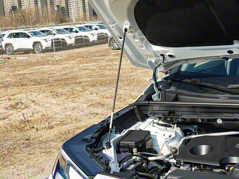 2026�� 2.0L ����������