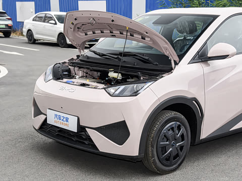 2026�� 305km ������