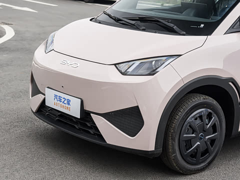 2026�� 305km ������