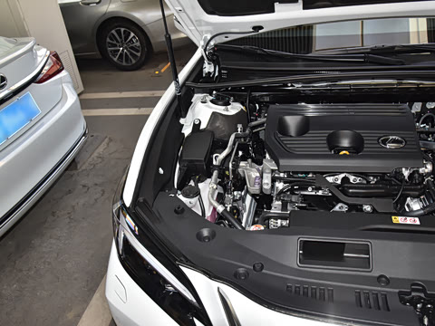 2026�� 200 ������