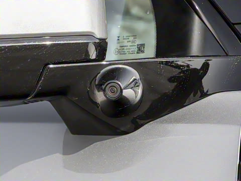 2025�� ������ 5��