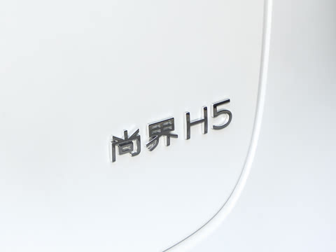 2025�� ���� Pro ������