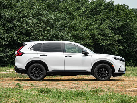 2026�� ȫ��30����ҫ�� �춯 2.0L �������ݰ�