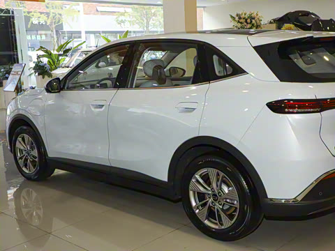 2025�� 565km ������