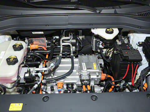 2025�� 565km ������