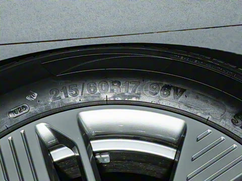 2025�� 565km �����