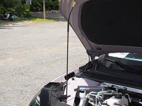 2026�� 650�Ǻ���