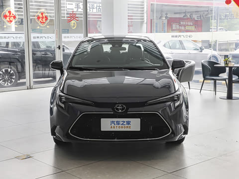 2026�� ����L 185T ������
