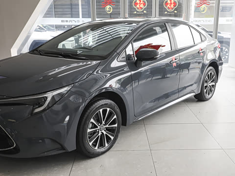 2026�� ����L 185T ������