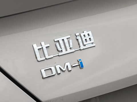 2026�� DM-i 170�캽Pro��