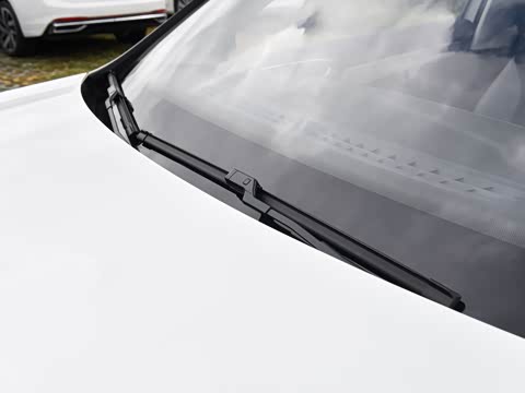 2026�� 280TSI �Զ��ȷ��