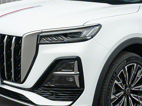 2026�� 2.0T ��������Pro��