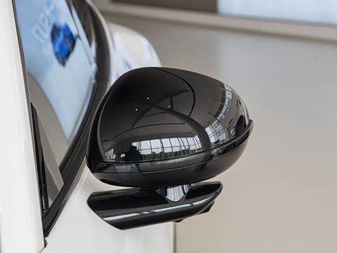 2025�� ������������Pro��