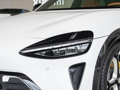 2025�� ������������Pro��