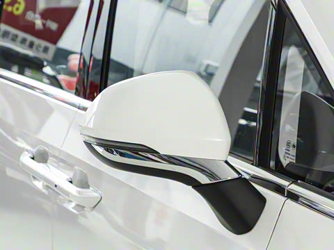 2025�� ������ ����������