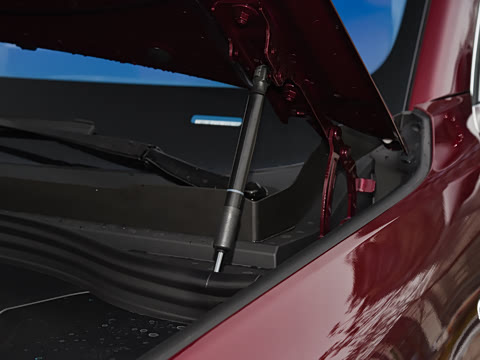 2026�� ���� Pro+������ 5��