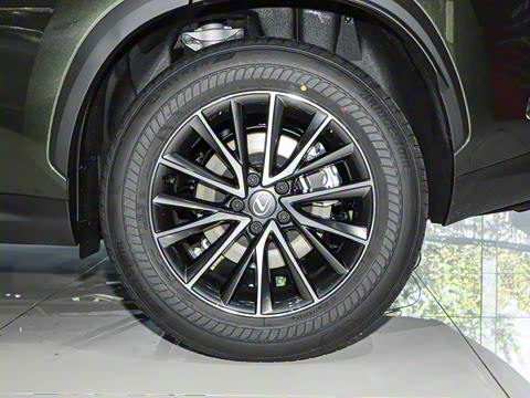 2025�� 350h JOY X