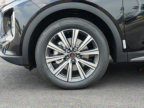 2025�� 2.0T PHEV ����200��������� 7��