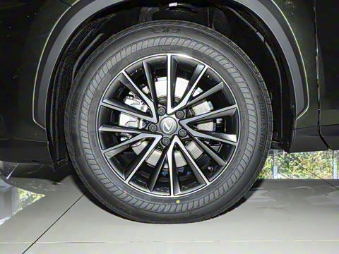 2025�� 350h JOY X