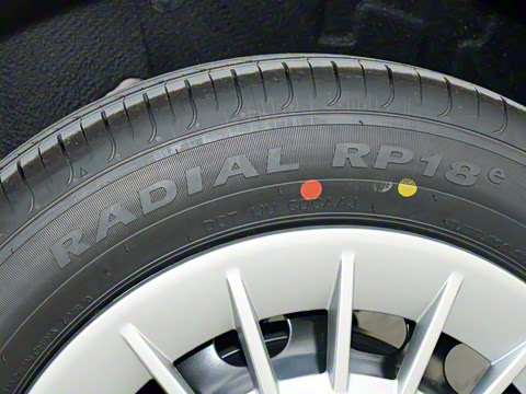 2025�� ������