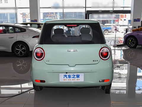 2026�� ���ذ� 205km �İ��� ����