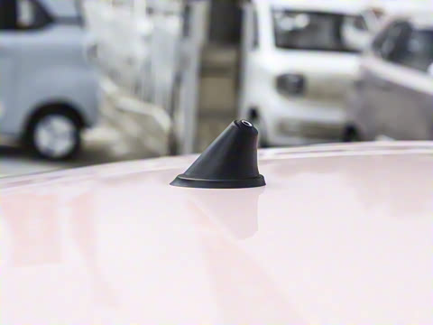 2026�� 222km ��Ȥ��