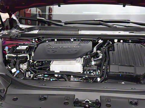 2025�� 260��������������