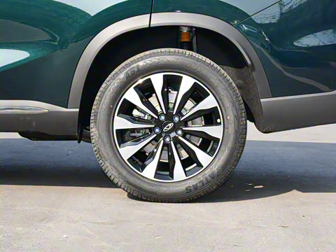 2025�� 290TGDI DCT���ư� 7��