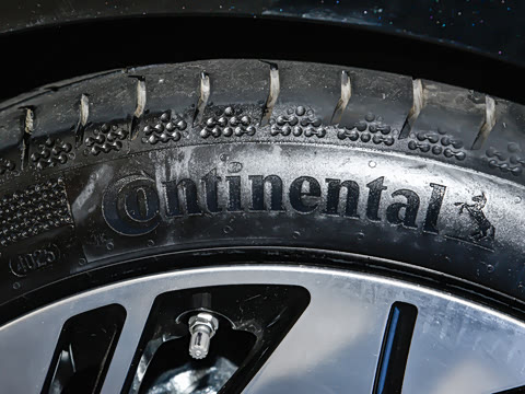 2025�� ������