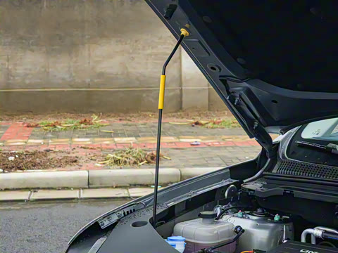 2026�� DM-i 133KM��Խ��