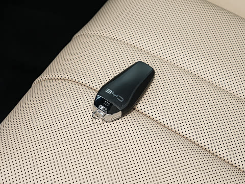 2026�� DM-i 133KM��Խ��