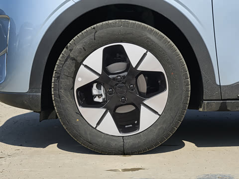 2026�� 310km �����