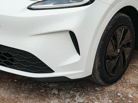 2026�� 437 ���İ�