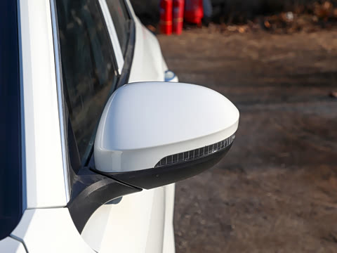 2026�� 300TSI DSG���������